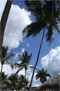 083Caribbean_beeching&relaxing